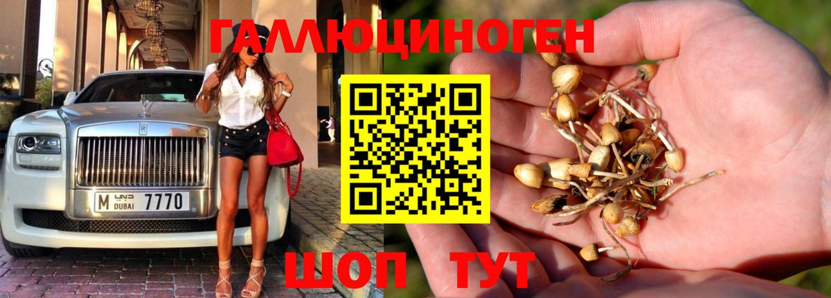 Псилоцибиновые грибы Magic Shrooms Снежинск